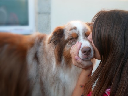Chien relaxé pendant son toilettage, avec un regard calme