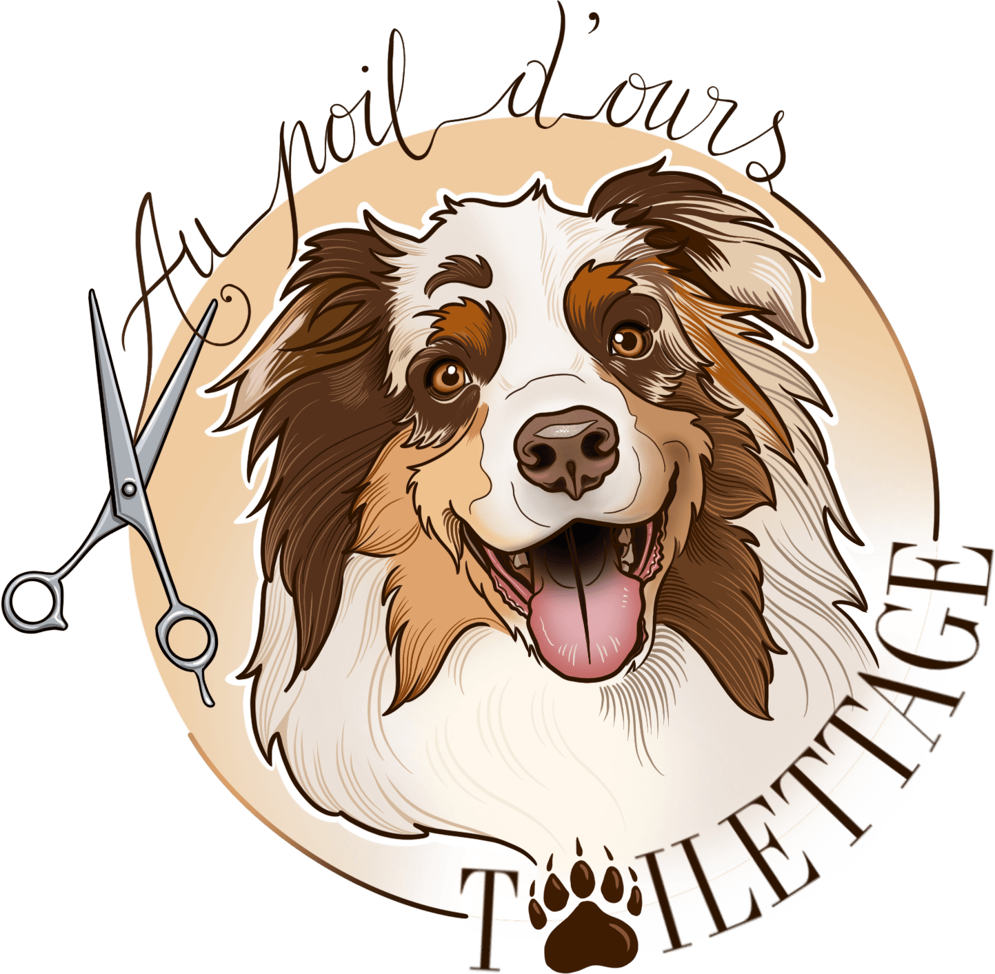 Logo Au Poil d’Ours Toilettage